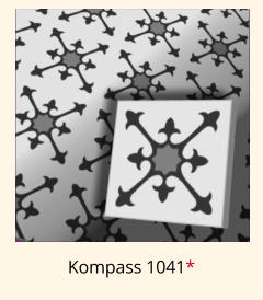 Kompass 1041*