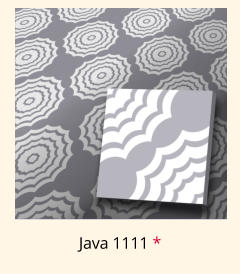 Java 1111 *